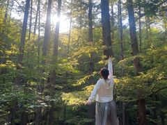 -国家植物园南园