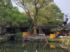 -上海醉白池公园