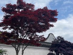 -天一阁博物院