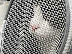 -四月宠物医院·猫专科·心脏专科·内科(转塘店)