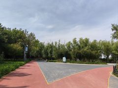 -大兴滨河森林公园