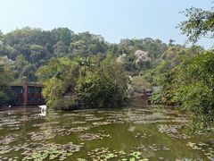 -野象谷景区