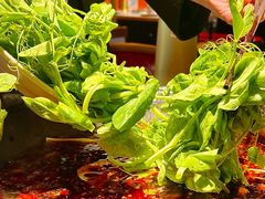 -吃城都·鱼蛙火锅(西玉龙街店)
