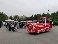 -日照海滨国家森林公园