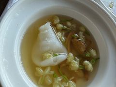 春分菊花脑炖花胶-扬州狮子楼·非遗淮扬菜(总店)