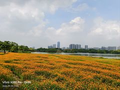 -海珠湖公园