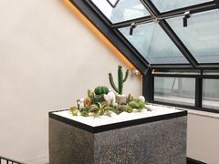 -大树餐厅(红旗街万达店)