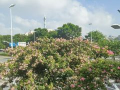 -霖公馆SPA·足道(普善路店)