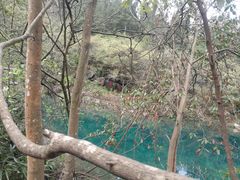 -石台牯牛降景区