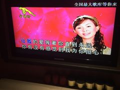 卓依婷-知心爱人-环球梦主题KTV(曲阳生活购物中心店)