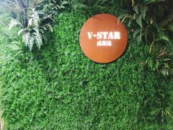 -V-STAR威斯达•高级私人定制
