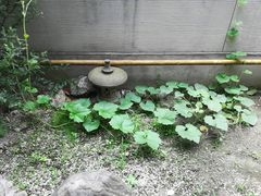-五厨火锅(长城西一路店)