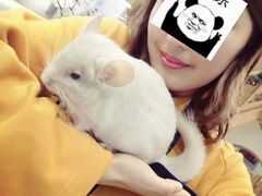 -藦茜花园宠物主题亲子互动体验馆(国顺东路店)
