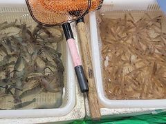 -江杨农产品批发市场