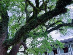 -溪口-滕头旅游景区