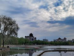 -莲花池公园