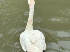 -青藏高原野生动物园