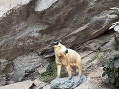 -陕西省红河谷森林公园