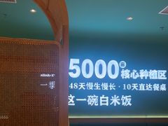 -谷田稻香·砂锅菜(广州悦汇城店)