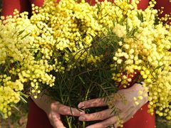 -厦门国家会计学院