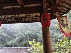 -藏龙百瀑风景区