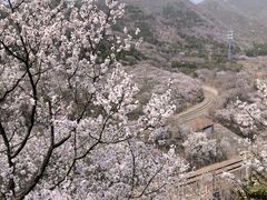-居庸关长城