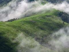 -大姆山草场