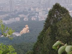 -华夏良子·足道SPA艾灸(山东大厦店)