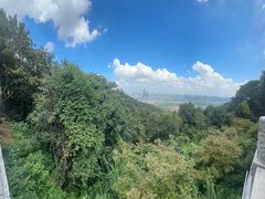 -岳麓山风景名胜区