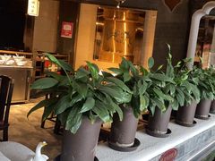 -红鼎坊·老成都火锅(新南门店)