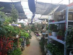 -金陵花卉交易市场