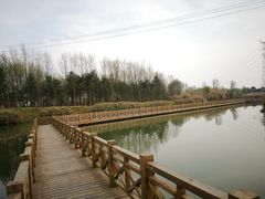 -桤木河湿地公园