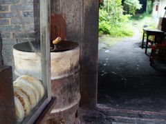 -海窝子古镇