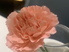 -眉州东坡(北苑华贸店)
