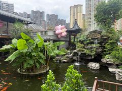 -顺德渔村·岭南一号