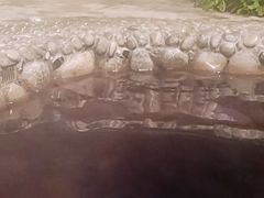 -中家鑫园温泉酒店鑫悦汤泉