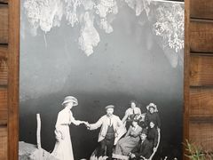 -怀托摩萤火虫洞