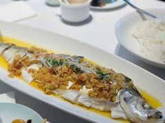 -绿杨春·淮扬宴(庐山路店)