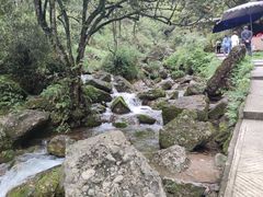 -青城山
