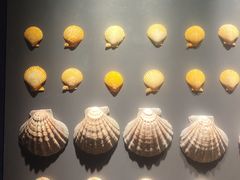 -重庆自然博物馆(新馆)