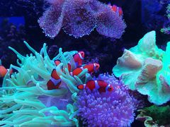 -多彩贵州城极地海洋世界