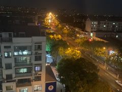 -上海莎海国际酒店