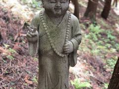 -武陵山森林公园