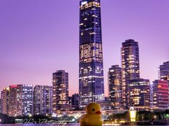 -深圳人才公园