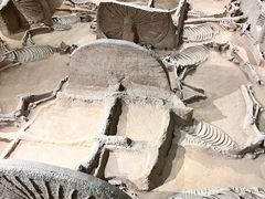 -洛阳周王城天子驾六博物馆