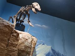 -正佳自然科学博物馆