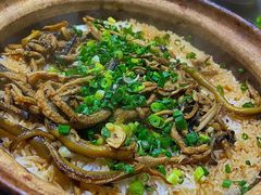 -优之名鹅城