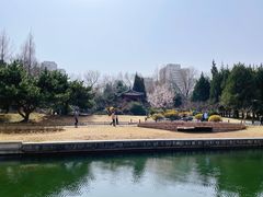 -元大都城垣遗址公园