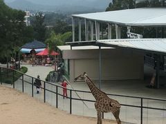 -泉州海丝野生动物世界