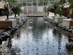 -上海外滩茂悦大酒店